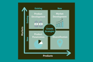 Growth strategy matrix showing four approaches: product development, market development, product penetration and diversification, plotted across existing and new markets and products